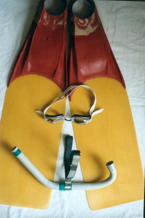 Lac du Bourget 2003: première expérience avec palmes