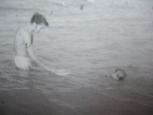 canet-1