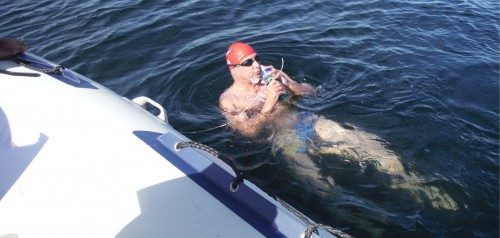 freedom-swim-12