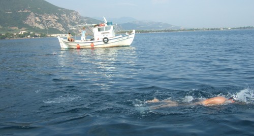 golfe-8
