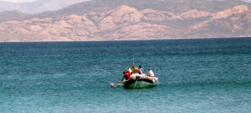 Île-Rousse : championnat de France palmes 2005 sur 20km