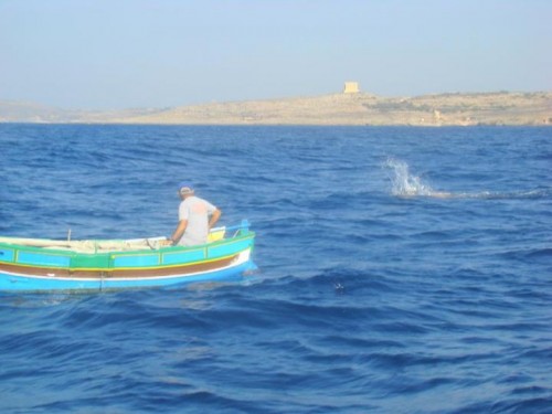 malt-gozo-9