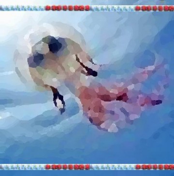 meduses
