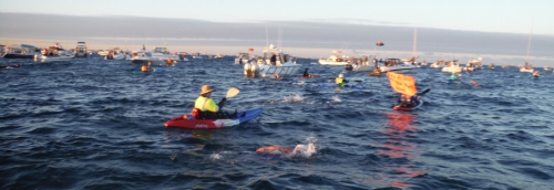 rottnest-10