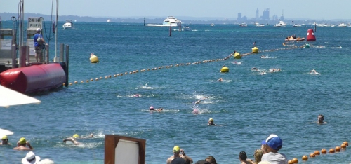 rottnest-19