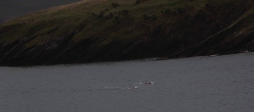 sandycove-5