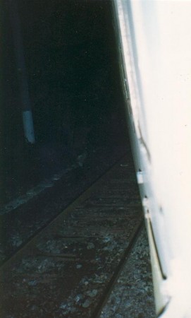 varna-4
