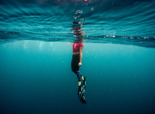 nage en eau libre equipement