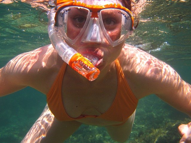 nage en eau libre equipement